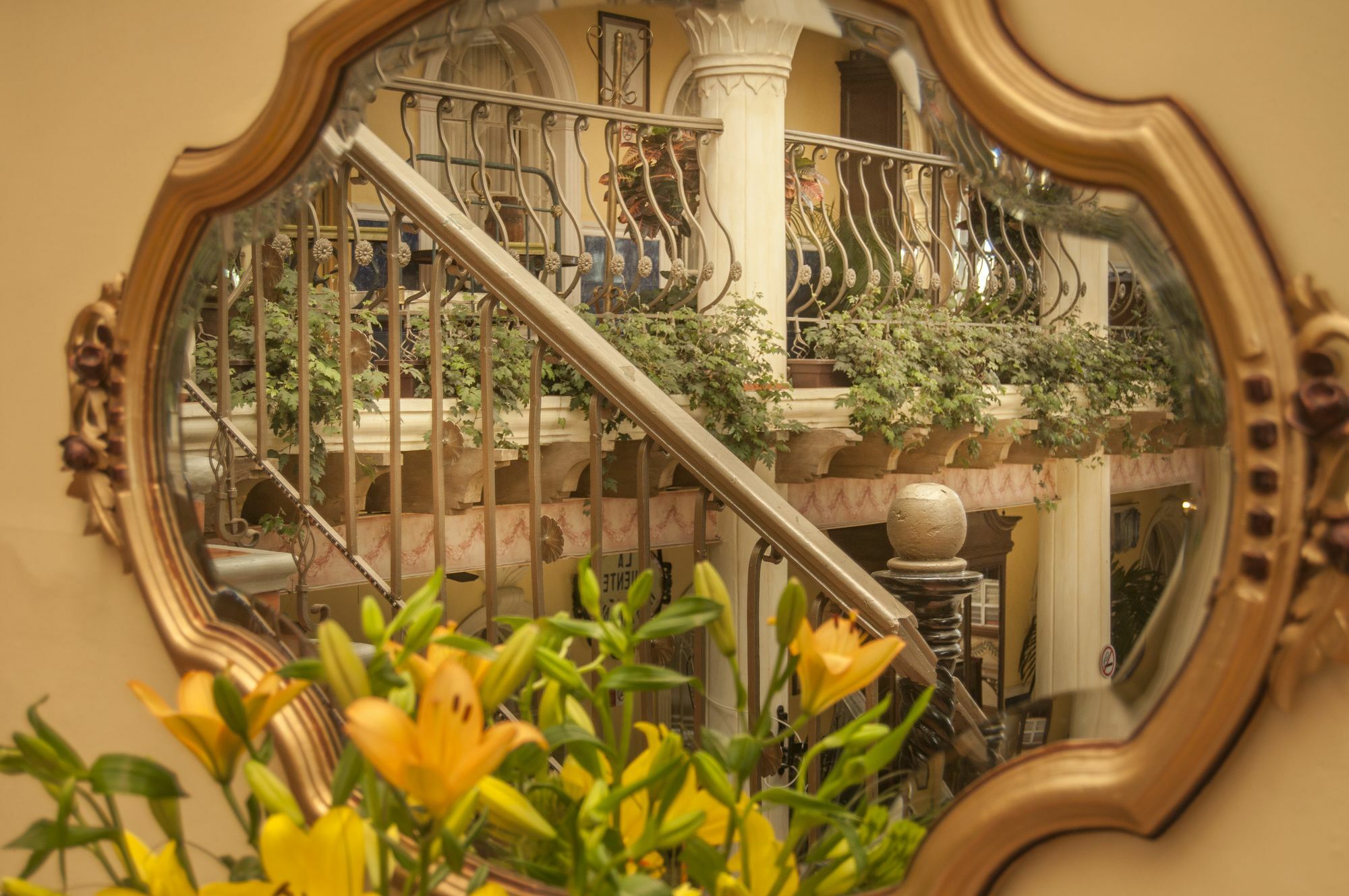 Centro Hotel Villa Las Margaritas ハラパ エクステリア 写真